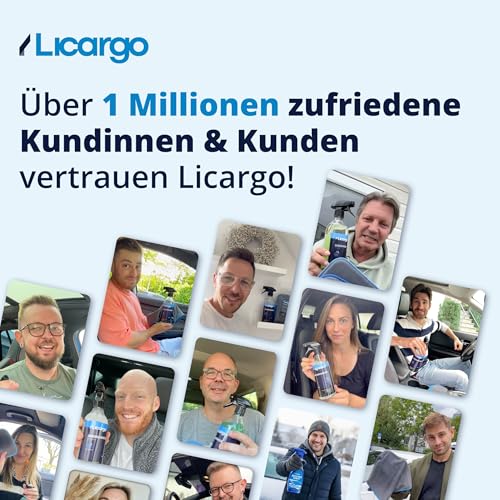 Licargo Lackstift – Anthrazitgrau matt RAL 7016 – Reparaturlack für Autos, Felgen und Metall – mit Präzisionspinsel
