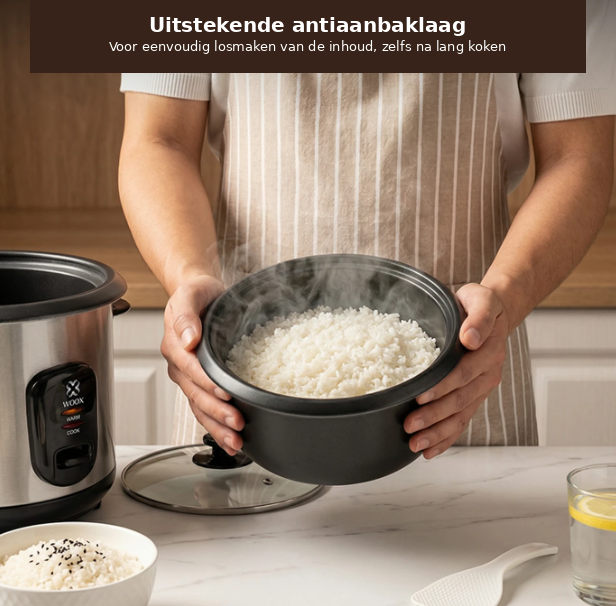 Woox Elektrischer Reiskocher 1 Liter – Schwarz & Edelstahl – Glasdeckel