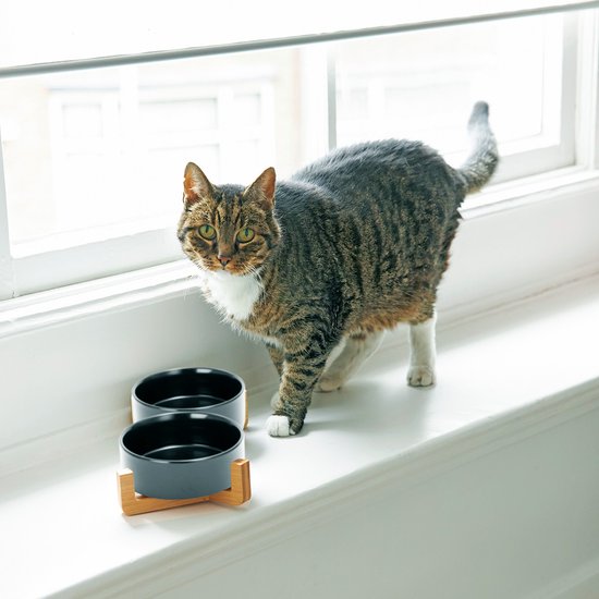 Futternapf Hund - Futternapf Katze - Trinknapf - Mit Ständer - 2x 400 ml - Größe S - Schwarz