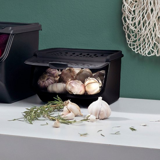 Tupperware GarlicSmart 2,3 l – Knoblauchbehälter – BPA-frei – Aufbewahrungsbehälter für Knoblauch – stapelbar – Keep-Fresh-Behälter – Knoblauch bleibt länger frisch