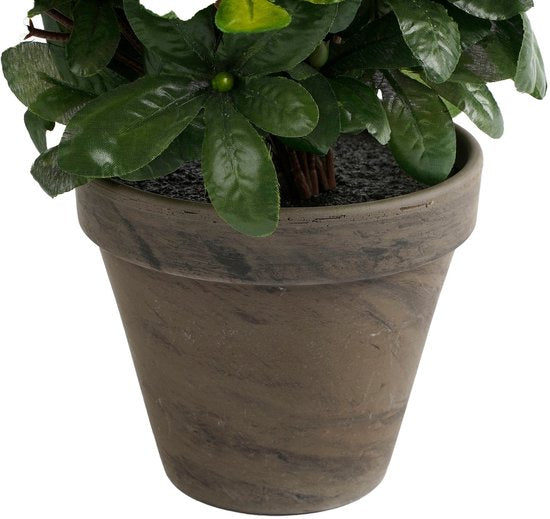 Mica Decorations Künstliche Pflanze - Azalee - Weiß - im Topf - 31 cm - künstliche Pflanzen