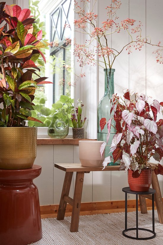 Mica Decorations Jay Vase - L19 x B11 x H25 cm - Glas - Hellgrün