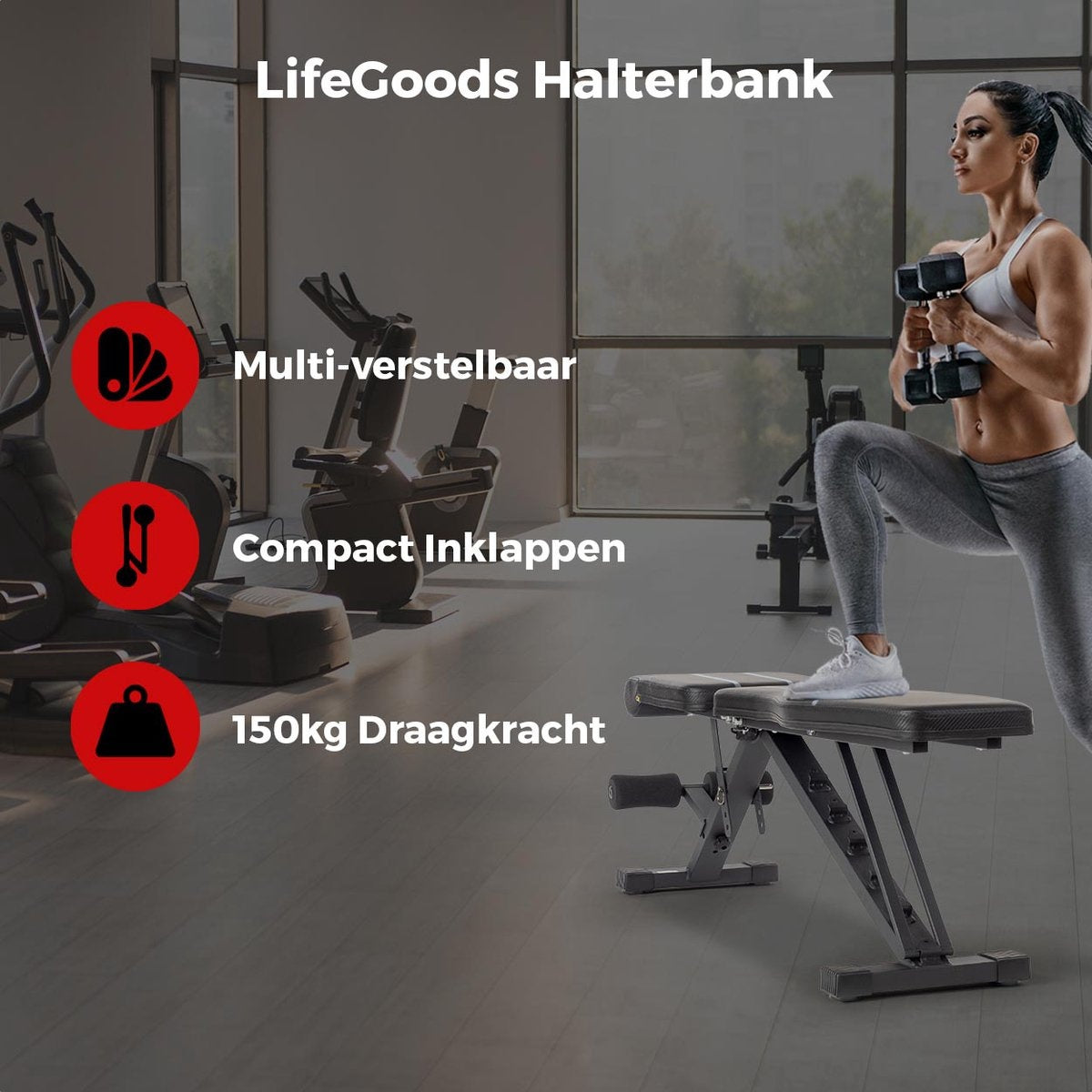 LifeGoods Fitness Halter Bank - Übung Bank - Bankdrücken - Übung Bank - einstellbar - faltbar - schwarz/grau