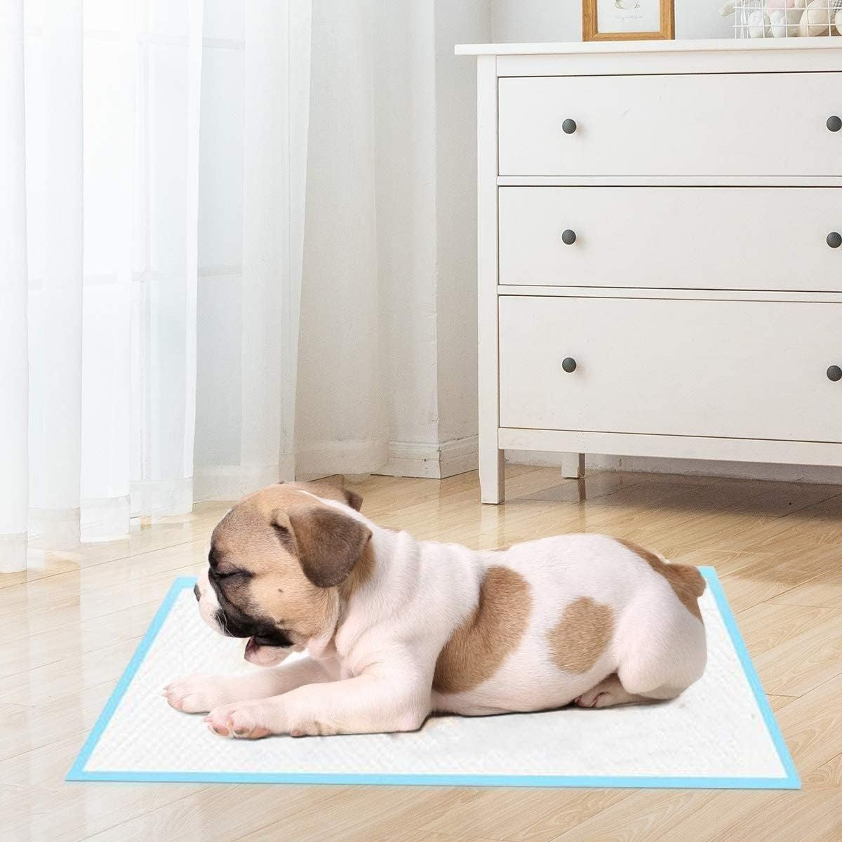 Trainingsmatte für Hunde Auslaufsichere 5-Lagen-Design-Welpenmatte Hygienische Einweg-Pads (100 Stück 60 x 90 cm)