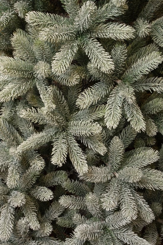 Black Box Trees Künstlicher Weihnachtsbaum - H240 x Ø138 cm - Grün gefrostet