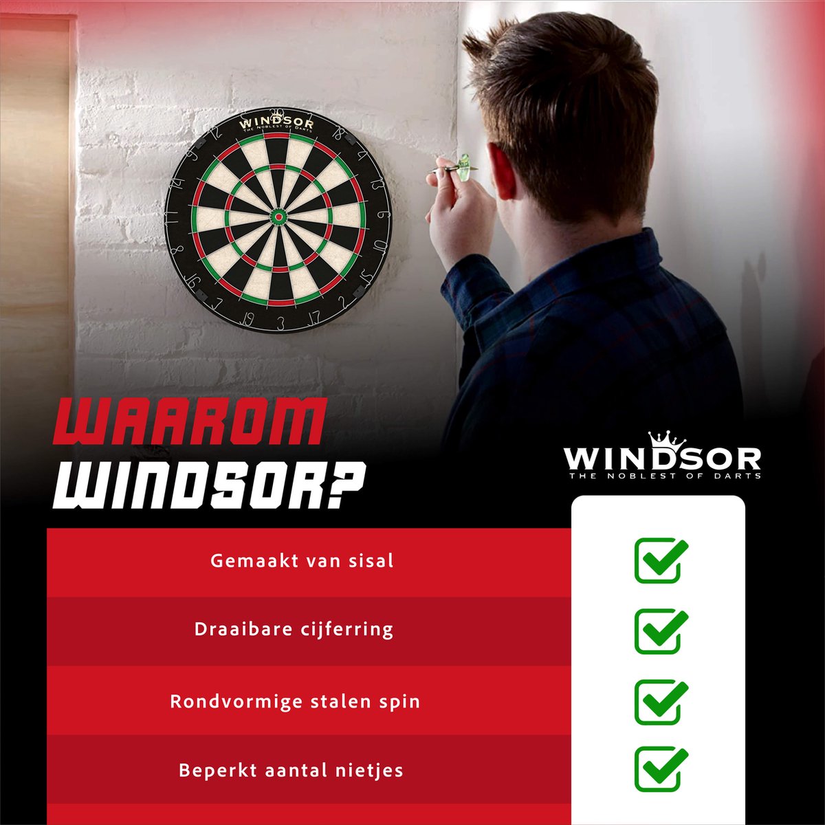 WINDSOR Dartscheibe - mit Darts & Zubehör - Sisal - Dartscheibe - Ritter 3
