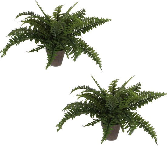 Mica Decorations Boston Farn Künstliche Pflanze im Blumentopf Stan - H42 x Ø50 cm - Grün