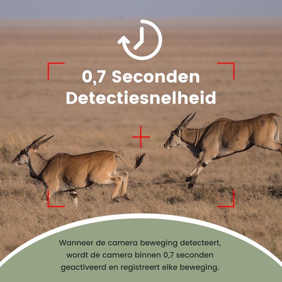 Professionelle Wildkamera mit Nachtsicht 16MP - Wildlife Kamera mit Sensor - Jagdkamera - Wasserdicht - Inkl. 32GB SD Karte