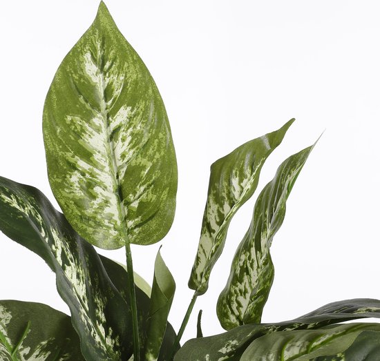 Mica Decorations Dieffenbachia Künstliche Pflanze im Blumentopf Stan - H70 x Ø55 cm - Grün