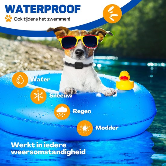 Vulpes Goods® - Anti-Bell-Halsband Mini Vulpes Goods® Anti-Bell-Halsband Mini - Erziehungshalsband ohne Schock - Anti-Bellgerät für kleine Hunde - wasserdicht - wiederaufladbar - Vibration und Audio