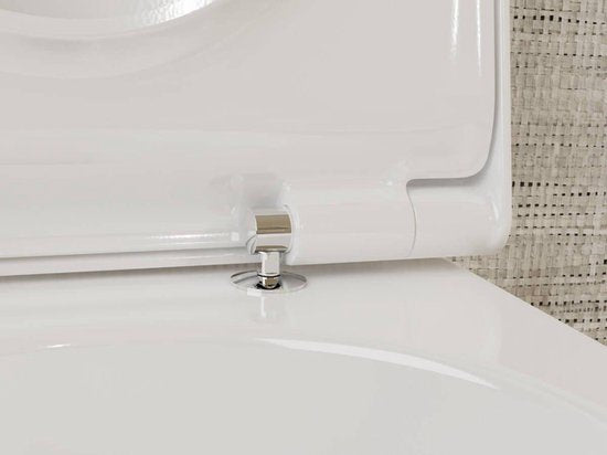 TOTO RP Wandklosett, niedrige Spülung, für Washlet RX und RW, 380x580x335mm, CW542ERY