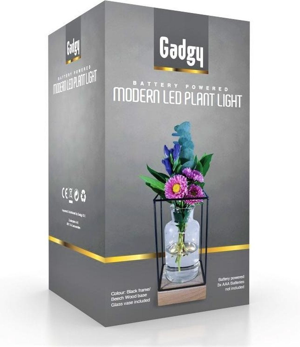 Gadgy Vase mit LED-Beleuchtung - Vasenlampe - Glasvase mit Lampe - Muttertagsgeschenk - Hydroponisch - Batteriebetrieben - Tischlampe - Ø11cm