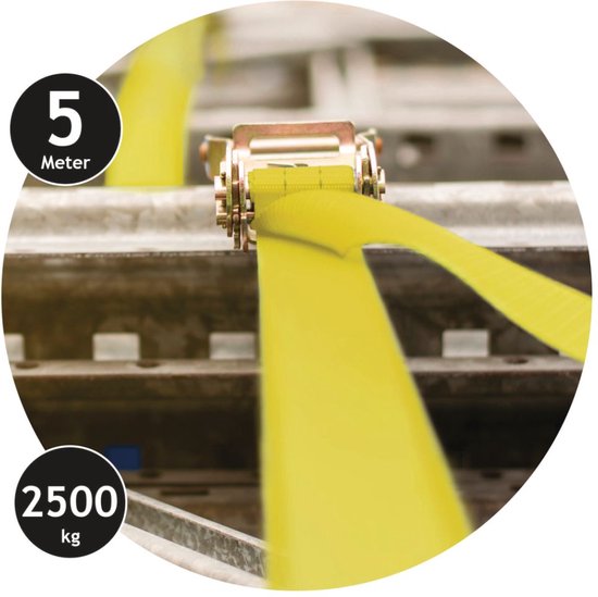 Dunlop Zurrgurt mit Ratsche - 5 M - bis zu 2500 KG - Gelb