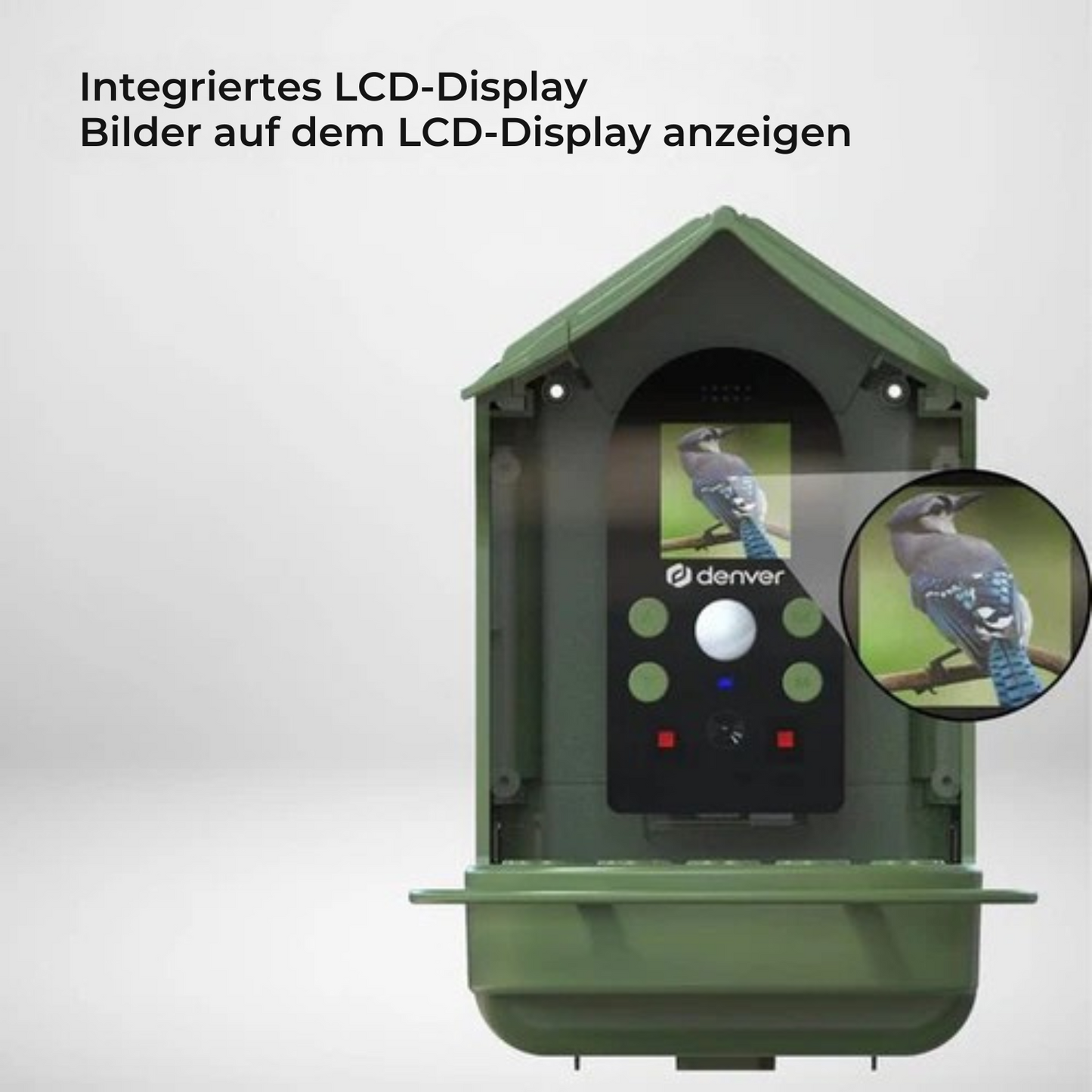Denver - BFC1200 - Vogelhaus - mit Kamera - Full HD - 12MP - 100-Grad-Blickwinkel - Grün