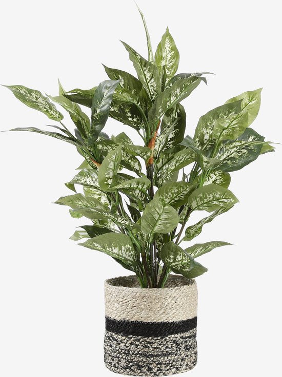 Mica Decorations Dieffenbachia Künstliche Pflanze im Blumentopf Stan - H70 x Ø55 cm - Grün