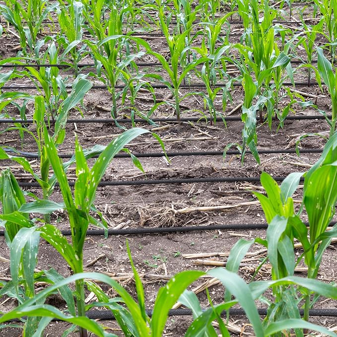 Yaheetech Tropfschlauch 30 m – Perlschlauch Bewässerungsschlauch – Schwarz