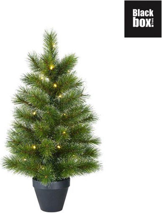 Black Box Trees Glendon Künstlicher Weihnachtsbaum im Topf mit 30 LED-Lichtern - H90 x Ø51cm - Grün