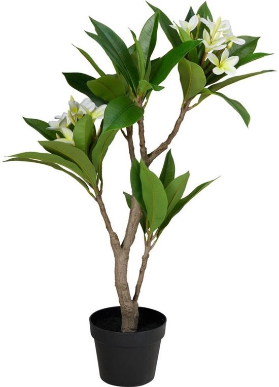 Kunstpflanze Plumeria 50 x 90 cm Weiß/Grün