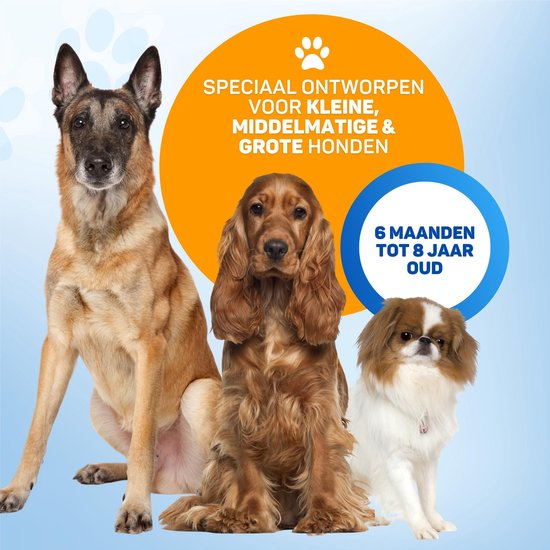 Vulpes Goods® Ultraschall-Anti-Bell-Gerät - 4-in-1 Anti-Bell-Gerät Max - ohne Schock - alternatives Anti-Bell-Halsband - für kleine & große Hunde - Audio - Taschenlampe - Taschenlampe - USB-aufladbar