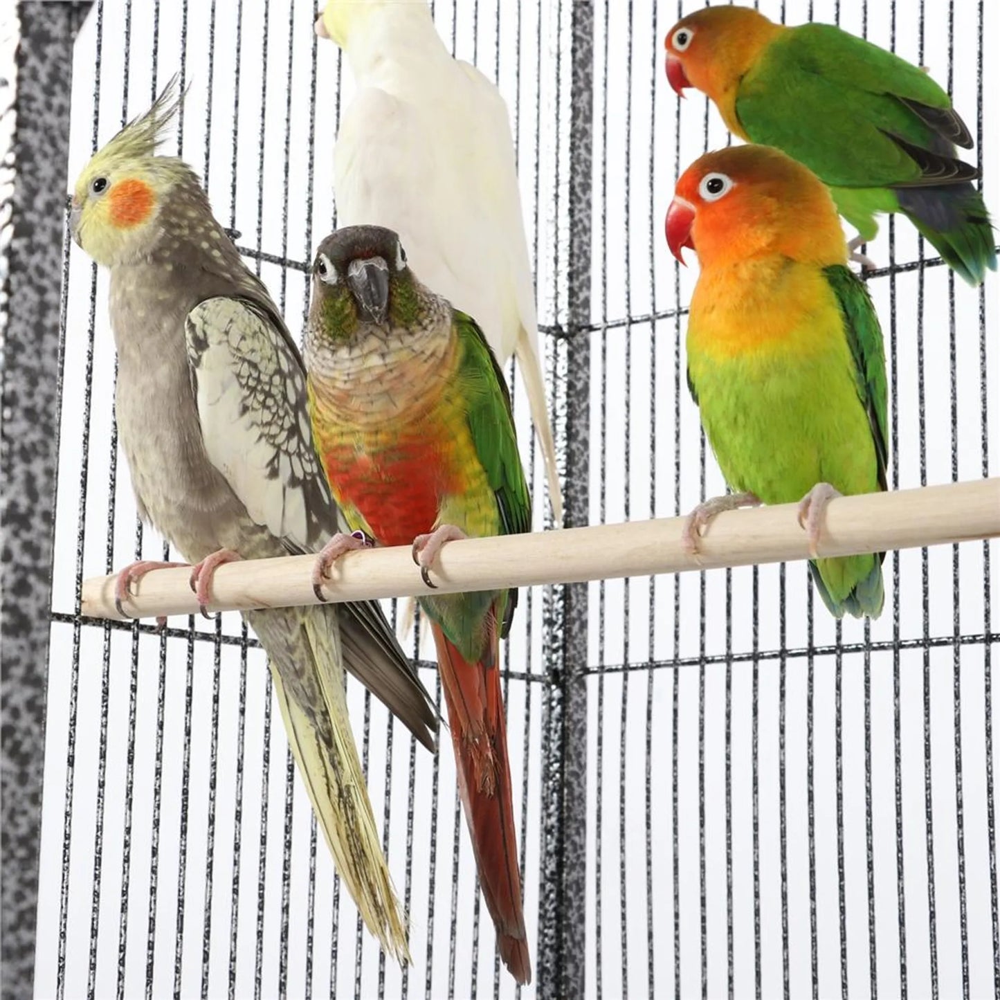 Yaheetech Vogelkäfig mit mobilem Sockel - ausgestattet mit herausnehmbarem Käfig und sechs Zugangstüren und Ablagefläche - für Sittiche und Falken - gehämmertes schwarzes Metall - 81 x 47 x 160 cm