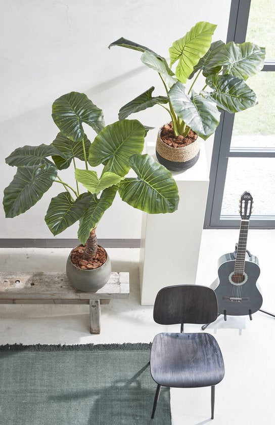 Mica Decorations Jorck Pflanzenkorb - 3er-Set - H24 x Ø26 cm - Schwarz