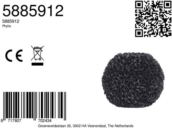 Light & Living Vase Phylia - Schwarz - 44x20.5x38.5cm - Kunststoff - Modern - Blumenvase - Heimdekoration - Dekorative Vase für Wohnzimmer oder Schlafzimmer - Weihnachtsgeschenk - Geschenk für ihn - Geschenk für sie - Weihnachtsdekoration