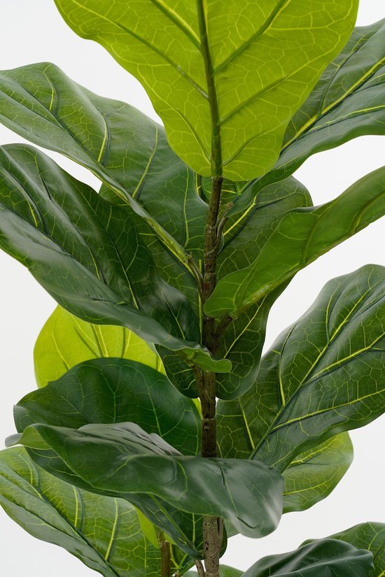 Mica Decorations Ficus Lyrata Künstliche Pflanze im Topf - H150 x Ø50 cm - Grün