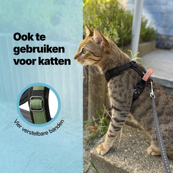 Jake und Jacky Hundegeschirr Kleiner Hund - Anti-Zug-Geschirr - Katzengeschirr - Y-Geschirr Hund - Hundegeschirr Kleiner Hund - Katzengeschirr - Grün - Größe XS