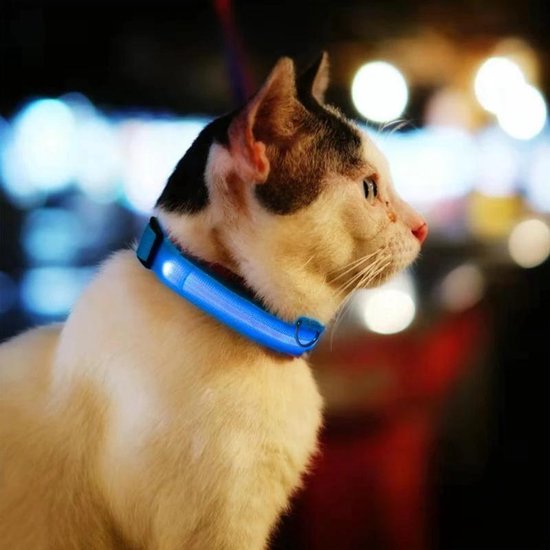 Leuchthalsband LED Größe XL 42 - 56 cm USB Wiederaufladbares Hundehalsband Welpenleine - Blau Hund Katze Kitten Katze - Dutchwide
