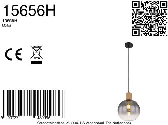Globo – Hängeleuchte – Moitas – schwarz – Glas – Ø 25 cm – E27 – 15656H