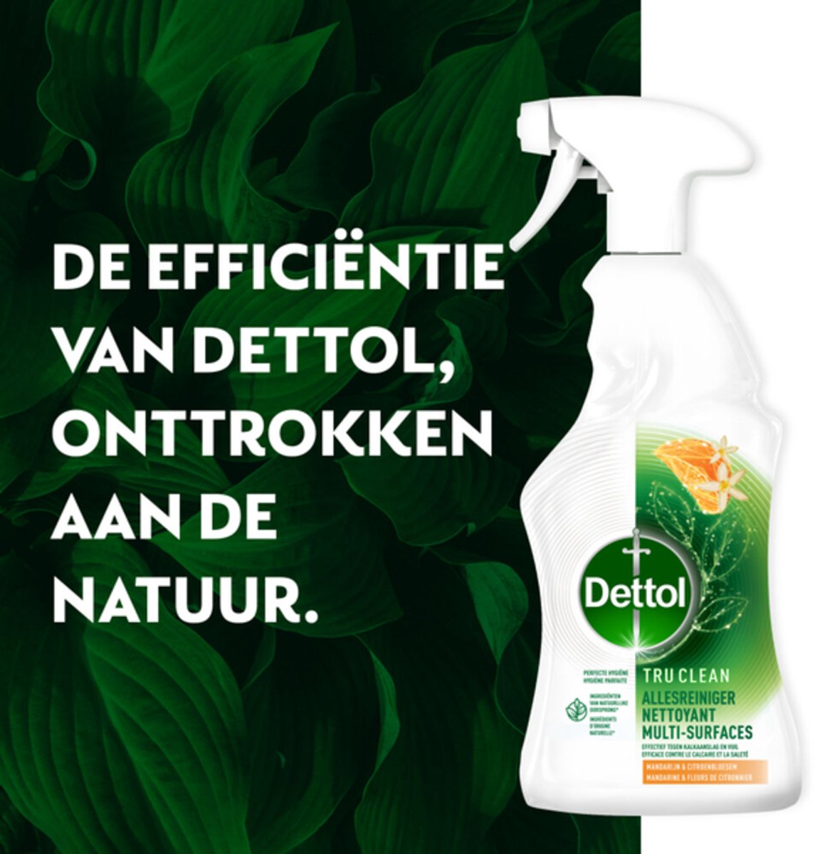 6er-Set Dettol Allzweckreiniger-Spray – Tru Clean – Mandarine & Zitronenblüte – 500 ml