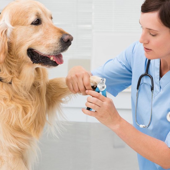 Professionelle Nagelknipser Hund und Katze - Nagelknipser mit Sicherheitsstopp und Nagelfeile - Blau