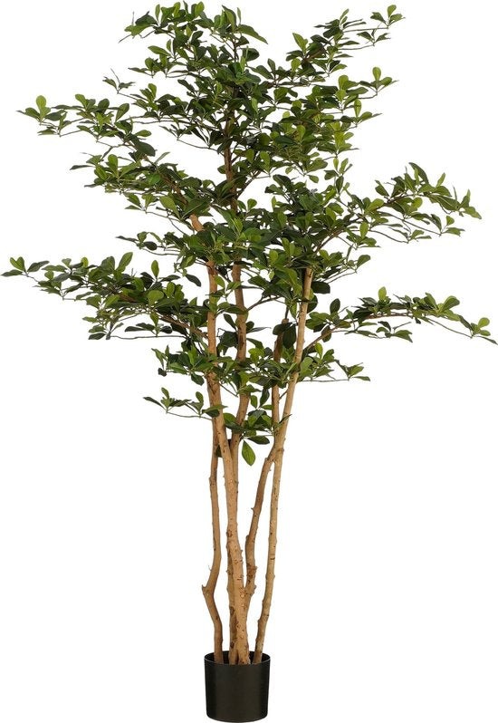 Mica Decorations Künstlicher Olivenbaum im Topf - H183 x Ø130 cm - Grün