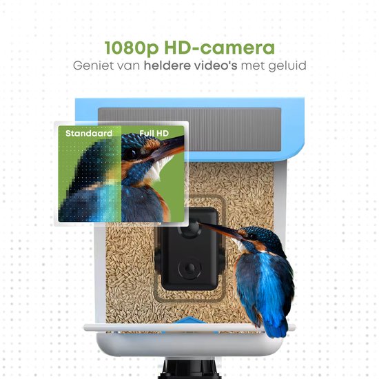Vierbeiner - Vogelfutterautomat - Vogelhaus mit Kamera - AI-Vogelerkennung - 1080 HD - Audio