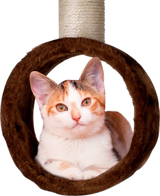 maxxpro Cat Post - Katzenspielzeug - 165 CM - Katzenpfosten - mit Katzenhaus und Katzentunnel - für große und kleine Katzen - Sisal - Braun