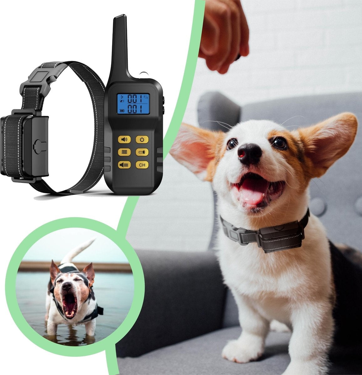 SelectedPets - Anti-Bell Halsband - inkl. Fernbedienung - wasserfest - tierfreundlich - Schwarz