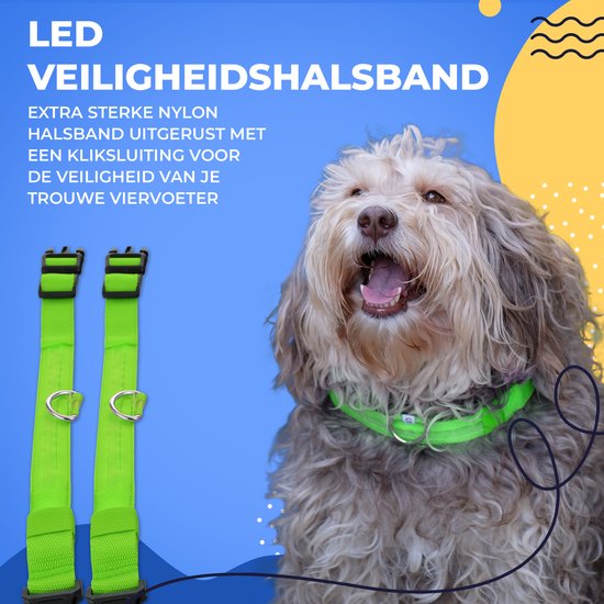 Dutchwide Leuchthalsband Hund - Extra Stark - XS 28 cm bis 38 cm - Hundehalsband - Schnapphalsband - Verstellbar - Reflektierend