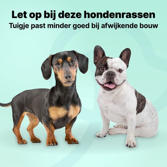 Jake und Jacky Hundegeschirr - Anti-Zieh-Geschirr - Hundegeschirr - Y-Geschirr Hund - Reflektierend - Schwarz - Größe S
