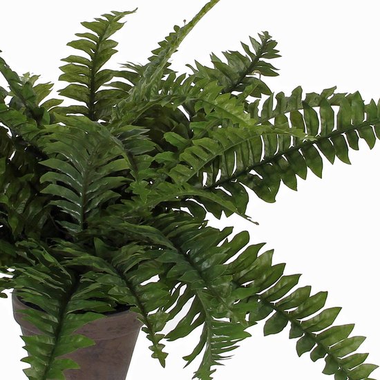 Mica Decorations Boston Farn Künstliche Pflanze im Blumentopf Stan - H42 x Ø50 cm - Grün