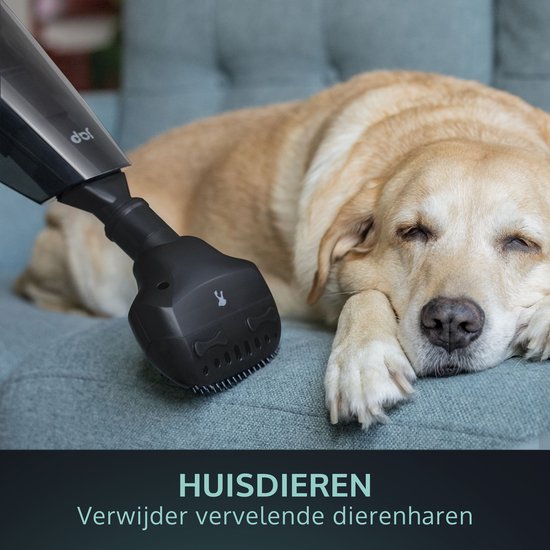 JAP Tornado S3C - Fest und flüssig - Alles in einem Handstaubsauger - Auto, Haustiere und Haus - Kabellos - Beutelloser Staubsauger - 5 Köpfe - 22.2V - Carbon