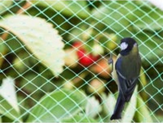 Vogelnetz, Polyester, Maschenweite 2 cm², 4 x 10 m, grün