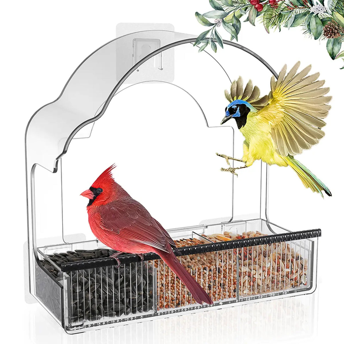 Blinkit 0162 Futterhäuschen für den Fensterrahmen – Acryl – 6 Saugnäpfe