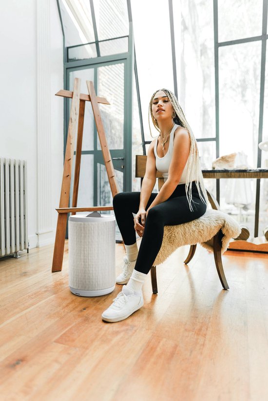 Aeris Luftreiniger AAIR Lite Farbe Nimbus Cloud Grey