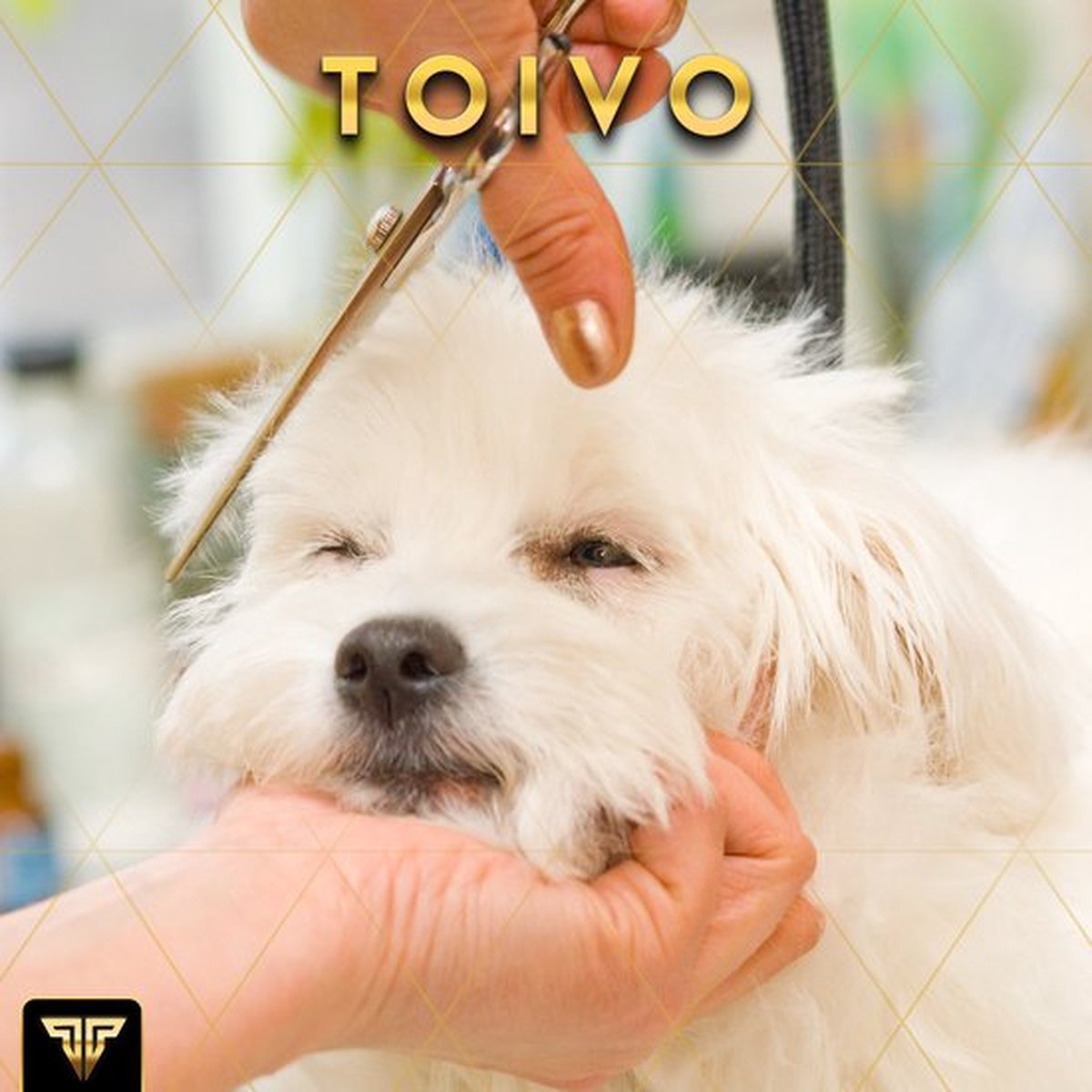 Toivo Schere für Tiere Komplettset - silber