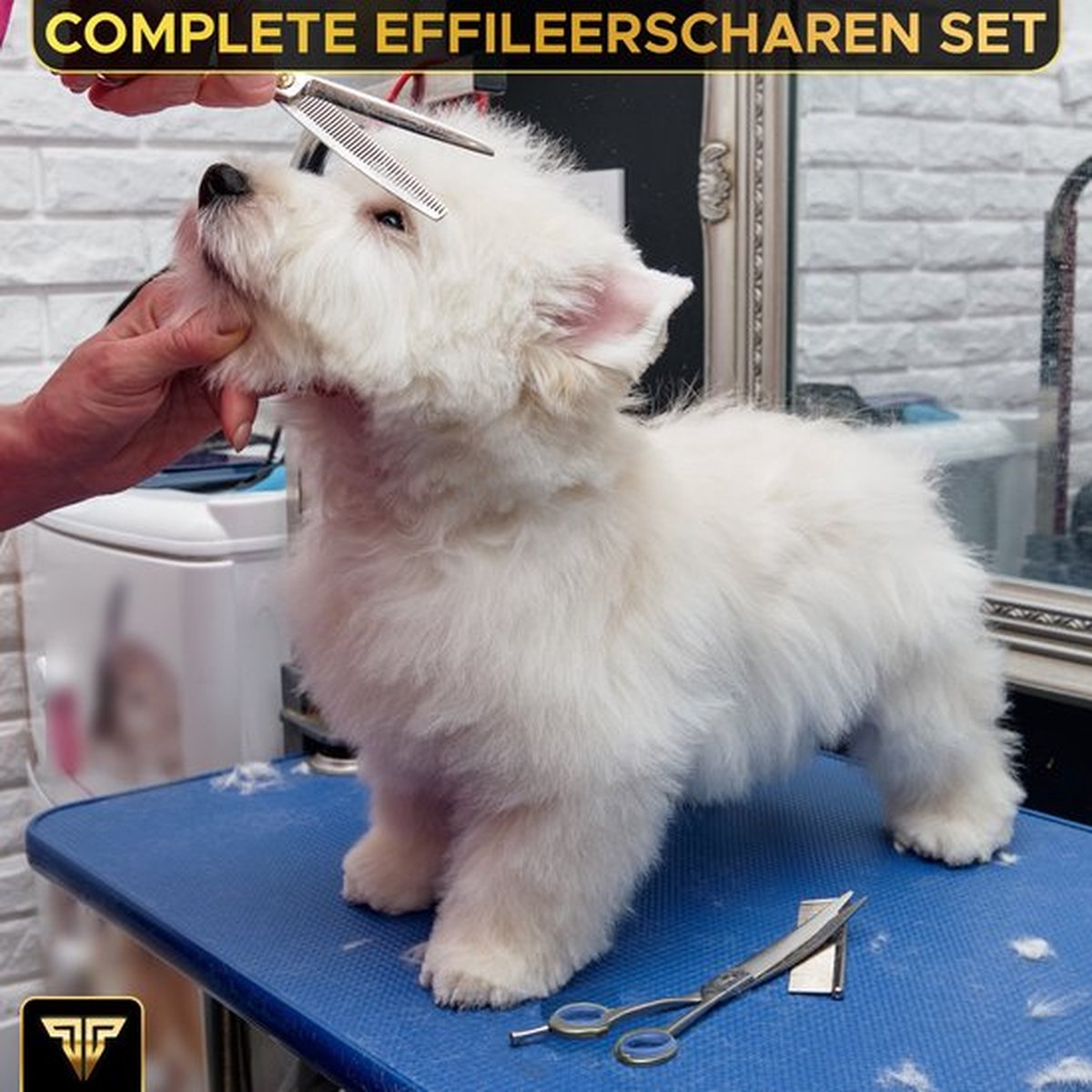 Toivo Schere für Tiere Komplettset - silber