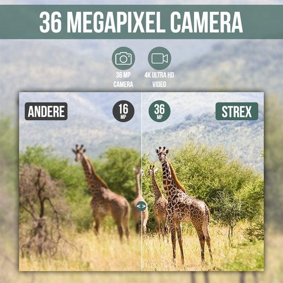 Strex Wildtierkamera mit Nachtsicht - 36MP 4K ULTRA HD - Wasserdicht - Inkl. 32 GB SD - Wildtierkamera