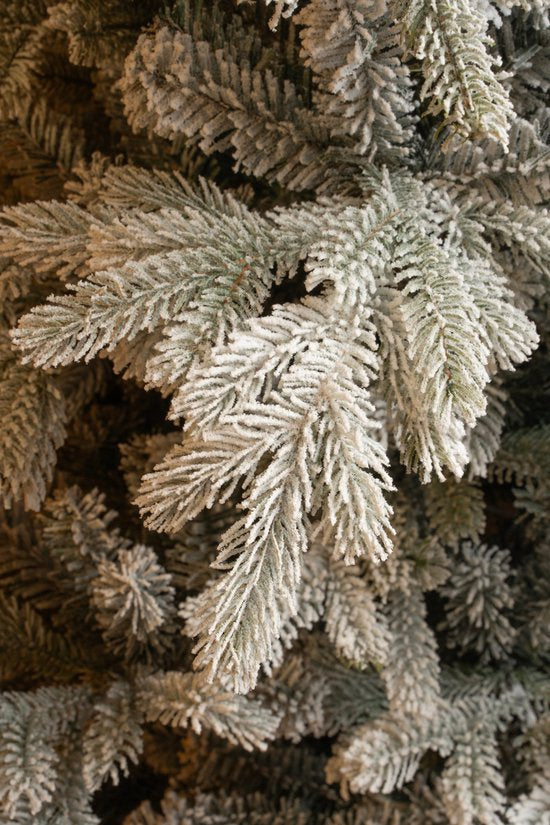 Black Box Trees Grimshaw Baum – Weihnachtsbaum mit Frost- und Schneeeffekt – Weihnachtsdekoration für den Innenbereich – Kunstbaum mit Scharnierkonstruktion – H 215 x Ø 152 cm – Grün
