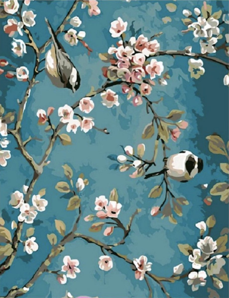 DIY Malerei - Malen auf Nummer Erwachsene - Vögel und Blumen - 40x50 cm - Leinwand - Farbe & Pinsel enthalten