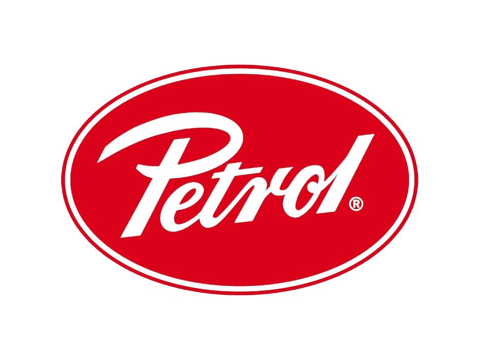 Petrol T-shirt M-1060-TSR258 - XL - Marineblau - Klassisches bedrucktes Herren-T-Shirt