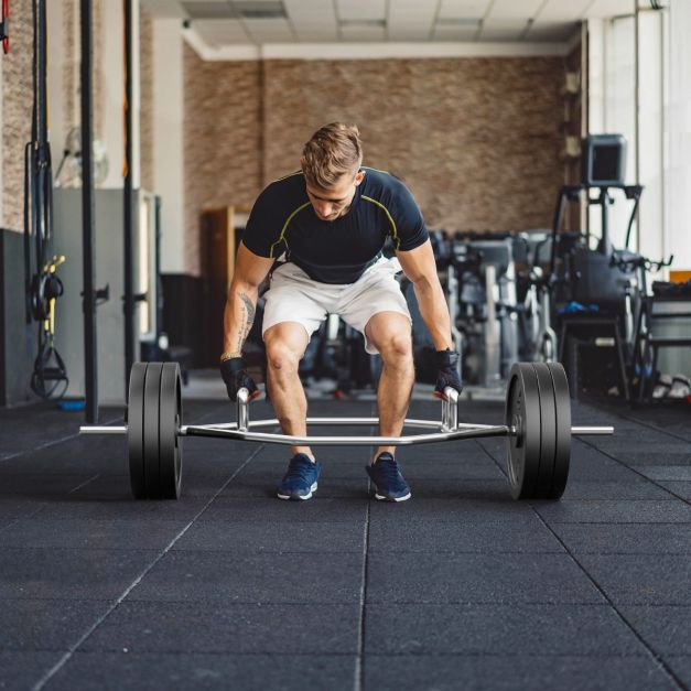 Coast Olympic Hex Bar - 120 cm | Silber Klimmzugstange mit flachen & gerändelten Griffen für Squats und Deadlifts